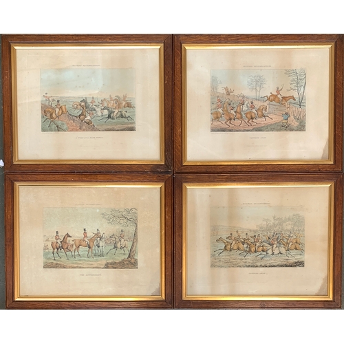 Lot 247       