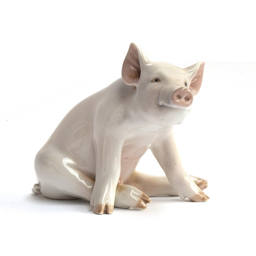 242 - A Royal Copenhagen porcelain seated Pig, number	414, marked to base, 16cm high