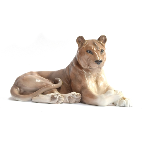 243 - A Royal Copenhagen porcelain recumbent Lioness, number 804, marked to base, 31cm long