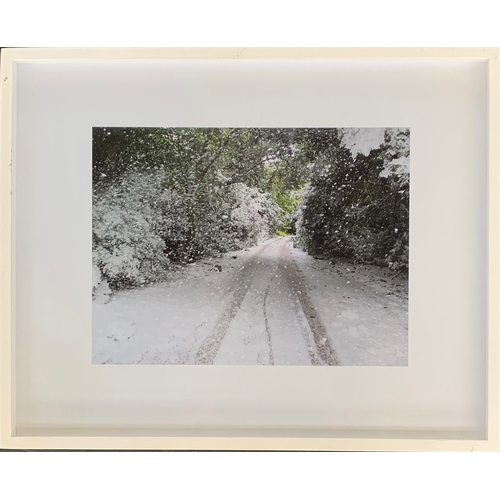 477 - Peter Liversidge, 'Midsummer Snowstorm', 2009, digital photographic print, limited edition 4/7, bear... 