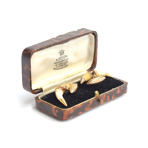 64 - A pair of Victorian fox tooth cufflinks mounted in gold, the teeth each approx. 4cm long