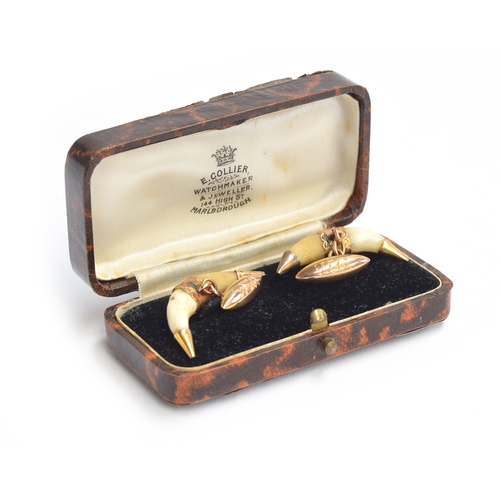 64 - A pair of Victorian fox tooth cufflinks mounted in gold, the teeth each approx. 4cm long