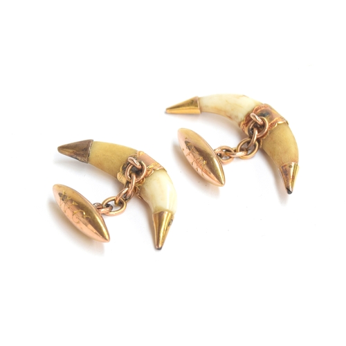 64 - A pair of Victorian fox tooth cufflinks mounted in gold, the teeth each approx. 4cm long