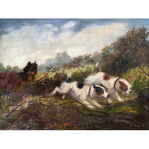 417 - Edward Armfield (1817-1896), a pair oil on board, terriers by a burrow and terriers with a quarry, e... 