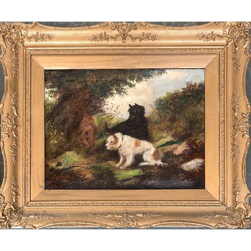 417 - Edward Armfield (1817-1896), a pair oil on board, terriers by a burrow and terriers with a quarry, e... 