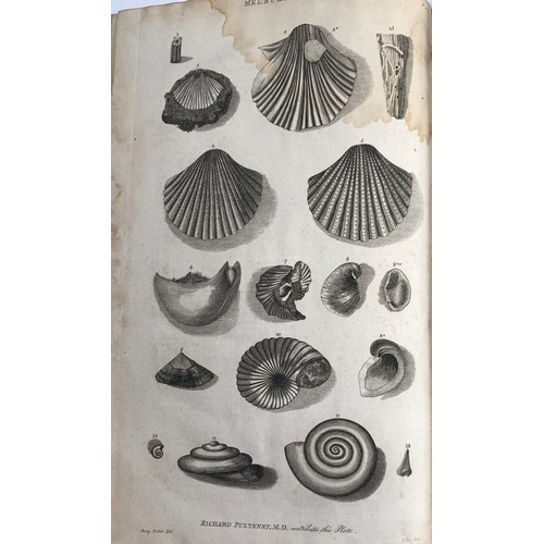 321 - Pulteney, Richard (1730-1801); and Thomas Rackett (1757-1841), 'Catalogues of the birds, shells, and... 