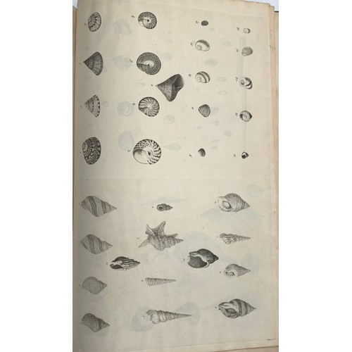 321 - Pulteney, Richard (1730-1801); and Thomas Rackett (1757-1841), 'Catalogues of the birds, shells, and... 