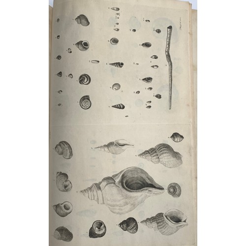 321 - Pulteney, Richard (1730-1801); and Thomas Rackett (1757-1841), 'Catalogues of the birds, shells, and... 