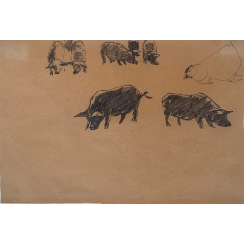 507 - Harry Becker (1865-1928), study of pigs and a chicken, pencil on paper, 15x21.5cm