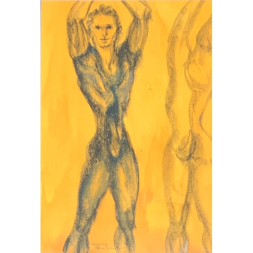 462 - A pastel study of a male ballet dancer, signed indistinctly, 48.5x33.5