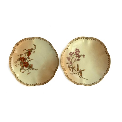 269A - A pair of late 19th century Royal Worcester blush ivory plates with floral designs, each 22cm diamet... 