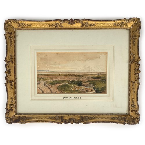 369 - Thomas Collier, RI (1840-1891), New Forest Logs, pencil and watercolour, signed and taed 1883 lr.rt.... 