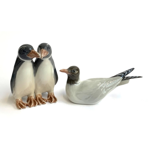 159 - Two Royal Copenhagen figurines, pair of penguins no. 1190, seagull no. 1468