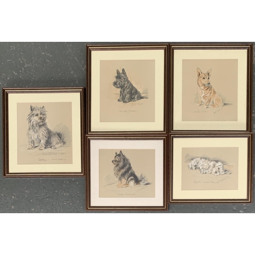 268 - After Lucy Dawson, 5 colour prints of dog studies, the largest 23x20cm, together with one other by M... 