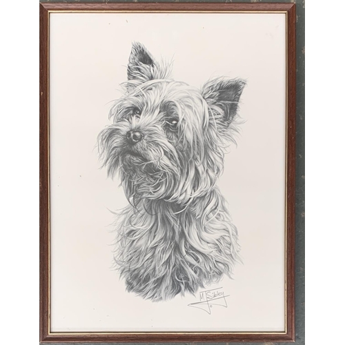 268 - After Lucy Dawson, 5 colour prints of dog studies, the largest 23x20cm, together with one other by M... 