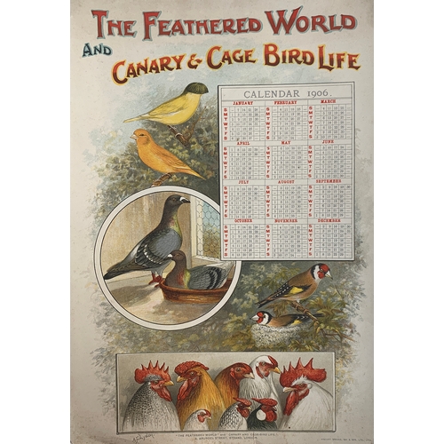 577 - 'The Feathered World', a large selection of colour plates after AF Lydon of various poultry and pige... 