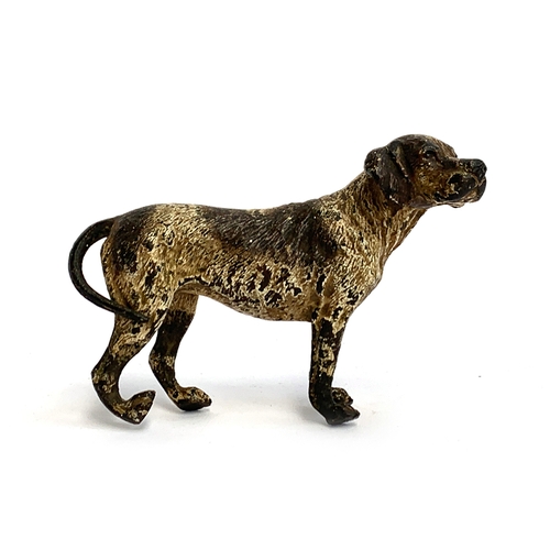 107 - A cold painted bronze of a foxhound, marked to underside, 7cm high