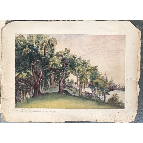 519 - Two watercolours of Indian scenes (backed onto a single sheet), 'The Gardens of Government House, Ca... 