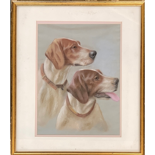 280 - 20th century pastel study of two coupled foxhounds, 33x25cm