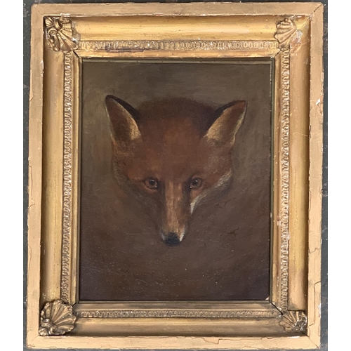 291 - Manner of Philip Reinagle (British 1749-1833), study of a fox mask, oil on panel, 26x21cm