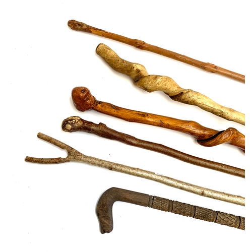 74 - Two twisted hazel walking sticks, together with several others (6)