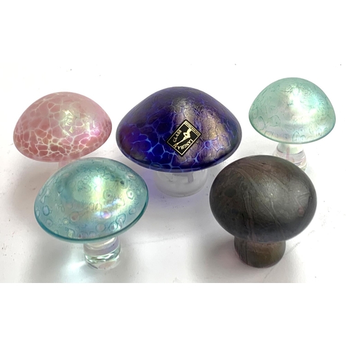 72 - Five iridescent art glass toadstools, to include Isle of Wight, the widest by Langham Glass, 7.5cmW