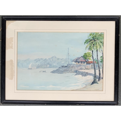 592 - 20th century watercolour, palm trees by the shore, 36x53cm