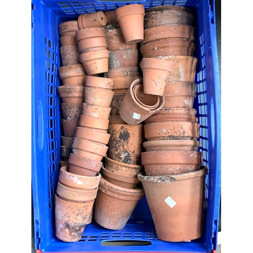 934 - A blue plastic crate containing a large quantity of small terracotta plant pots (approx. 50)