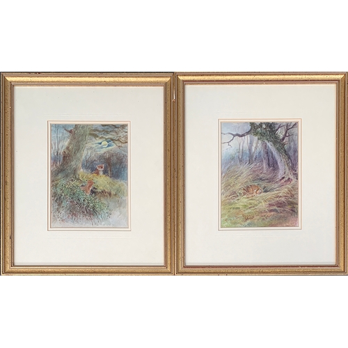 330 - Henry John Sylvester Stannard, RBA (1870-1951), a pair of watercolours depicting foxes within woods,... 