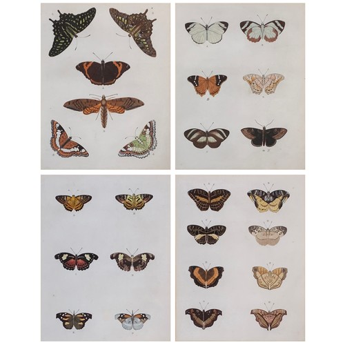 315 - After Pieter Cramer, Lepidopterology interest, four coloured plates from 'De Uitlandsche Kapellen Wa... 