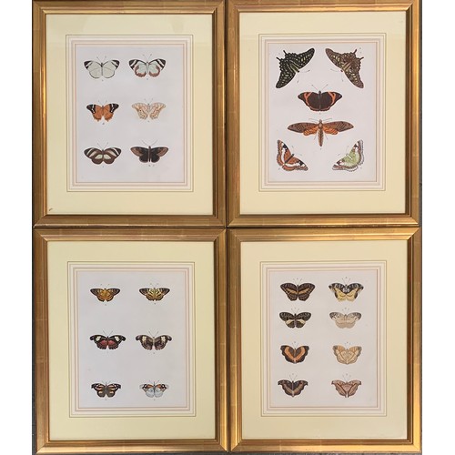 315 - After Pieter Cramer, Lepidopterology interest, four coloured plates from 'De Uitlandsche Kapellen Wa... 