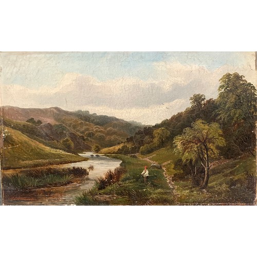 357 - A Coleman, 19th century oil on canvas, 'Dovedale', signed to verso, 31x51cm