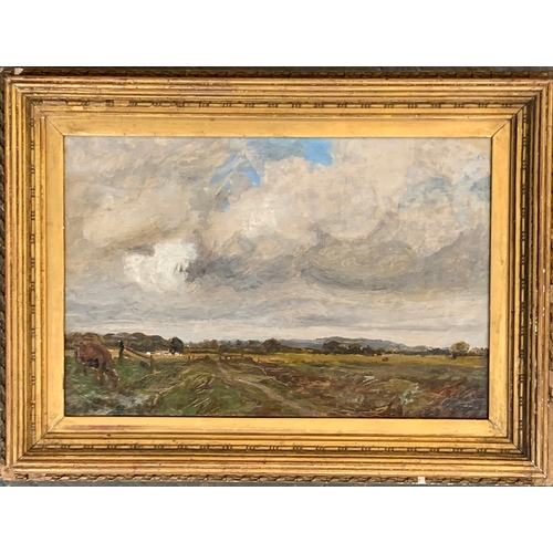 385 - Attributed to Owen Bowen, oil on canvas, rainclouds above an open landscape, 20.5x31cm