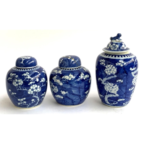 73 - A lot of three Chinese ginger jars with blue and white prunus design, the tallest with foo dog cover... 