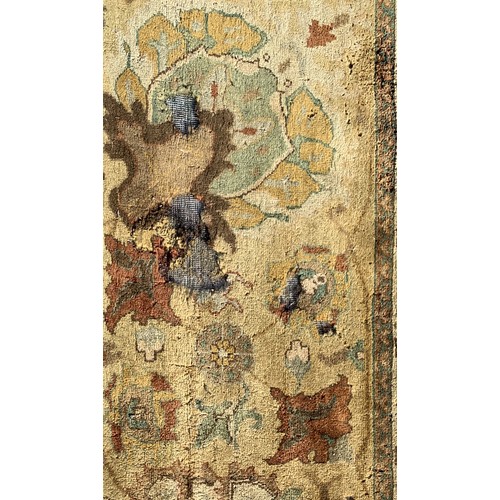 549A - A very large yellow wool rug, some moth, 490x340cm