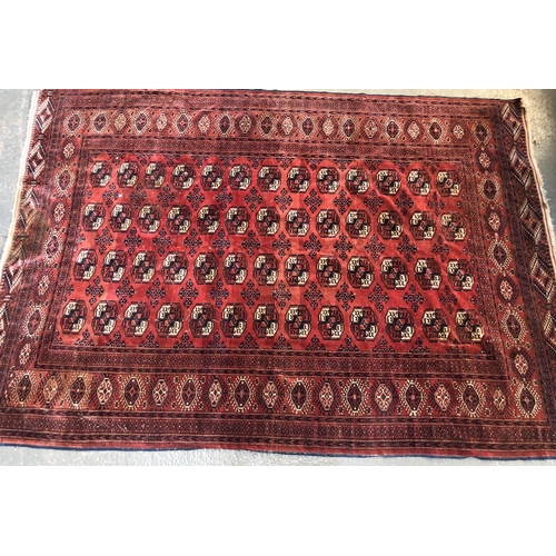 744 - A large Tekke rug, 285x201cm