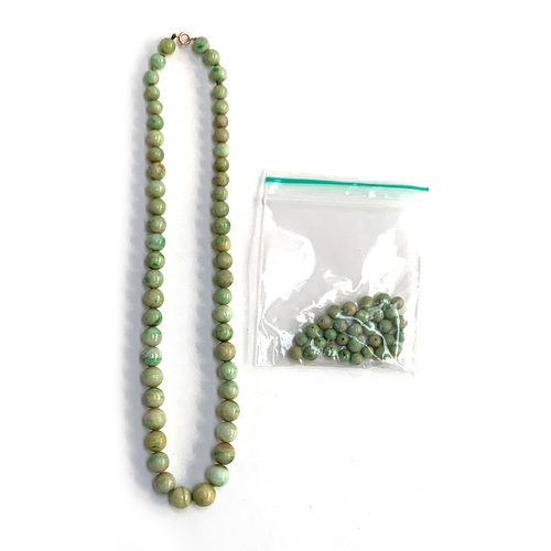 23 - An early 20th century graduated jade bead single strand necklace, with gold bolt clasp, 43cmL (with ... 