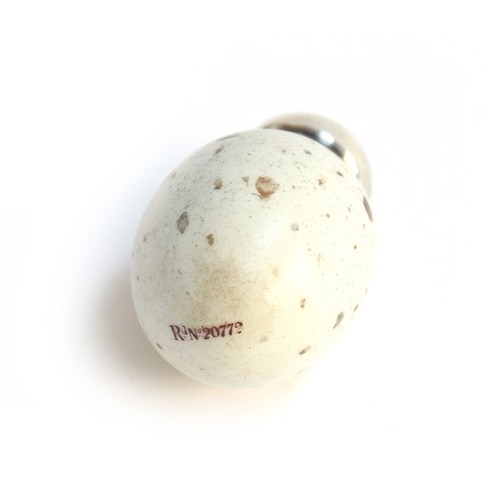 95 - A Victorian novelty scent bottle in the form of an egg, hand painted speckled porcelain with screw-o... 