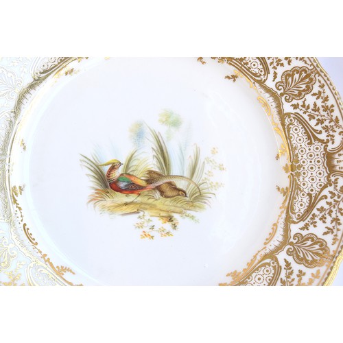 177 - A lot of thirteen hand painted dinner plates, each with a central hand painted scene of birds, borde... 