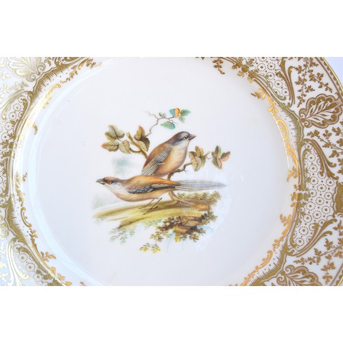 177 - A lot of thirteen hand painted dinner plates, each with a central hand painted scene of birds, borde... 