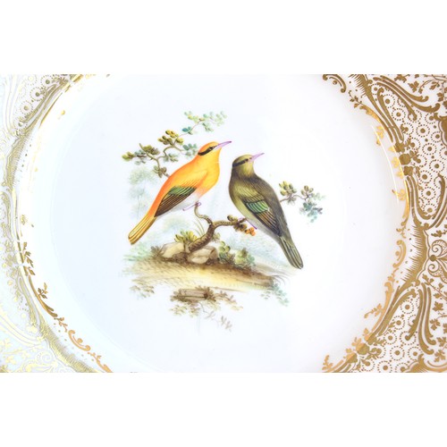 177 - A lot of thirteen hand painted dinner plates, each with a central hand painted scene of birds, borde... 