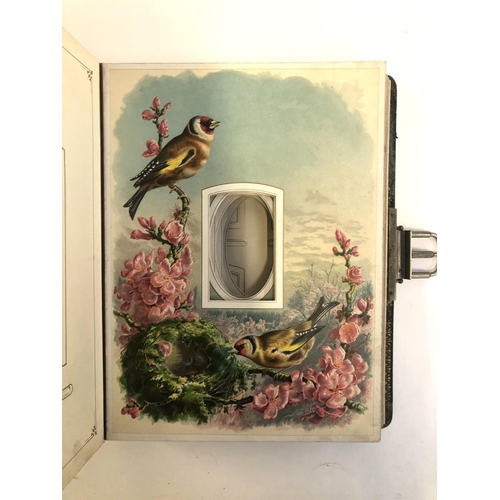 179 - An empty early 20th century photo album, each page with songbird decoration