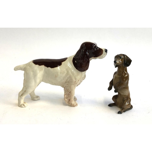 89 - A Beswick spaniel; together with a Rosenthal Dachshund