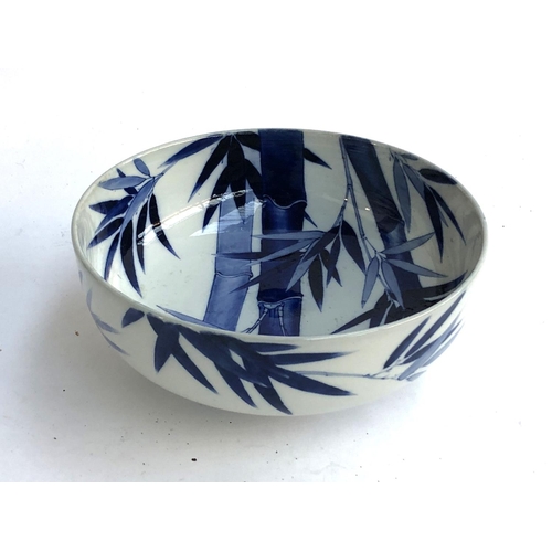 114 - A Chinese blue and white bowl with bamboo decoration, marks to base, 24cmD