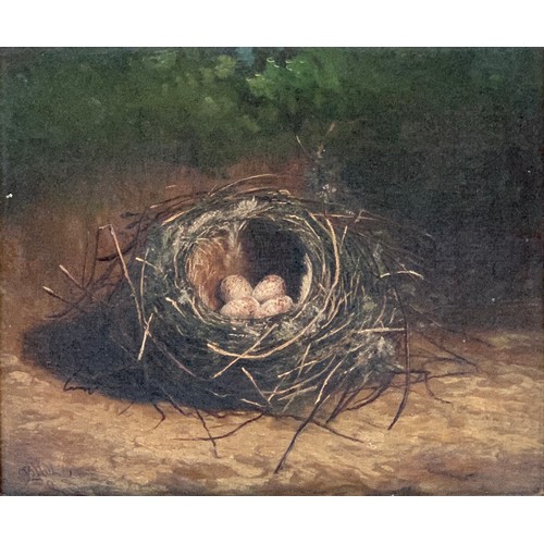 303 - 20th century British, a pair of oils depicting bird nests, each signed B Holb, each 24.5x29cm