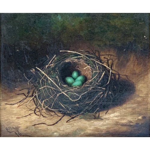 303 - 20th century British, a pair of oils depicting bird nests, each signed B Holb, each 24.5x29cm