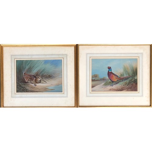 274 - John Baxendale (1919-1982), a pair of ornithological watercolours, cock pheasant and woodcock, each ... 