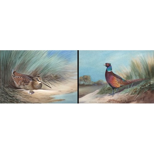 274 - John Baxendale (1919-1982), a pair of ornithological watercolours, cock pheasant and woodcock, each ... 