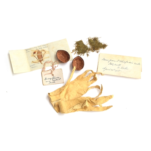 105 - A pair of tiny 19th century leather gloves and a walnut, with a label reading 'Fairy Gloves in a Wal... 