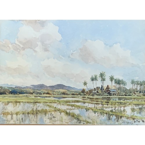 264 - John Christopher Temple Willis (1900-1969), 'Paddy Fields near Malacca', watercolour, signed lower r... 